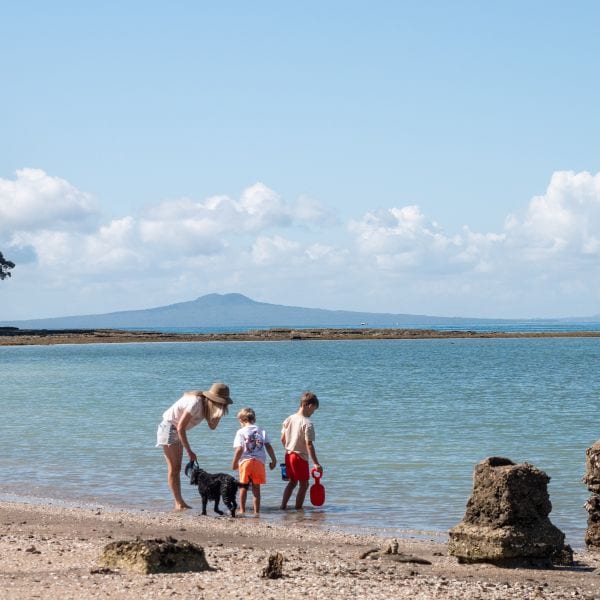 Go to the Hobbs Bay Estate website Hobbs Bay Estate