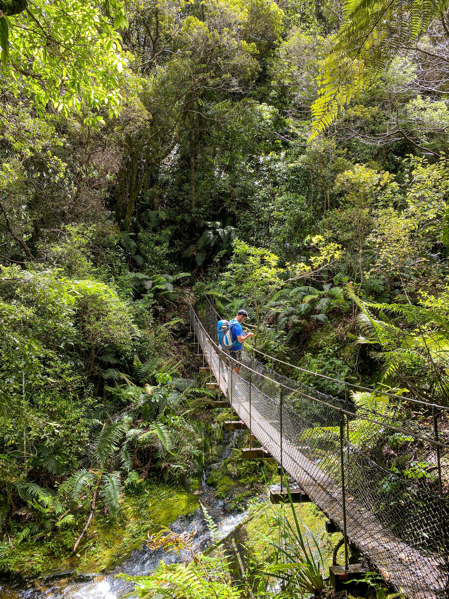 Hoppers team in Pinnacles hut